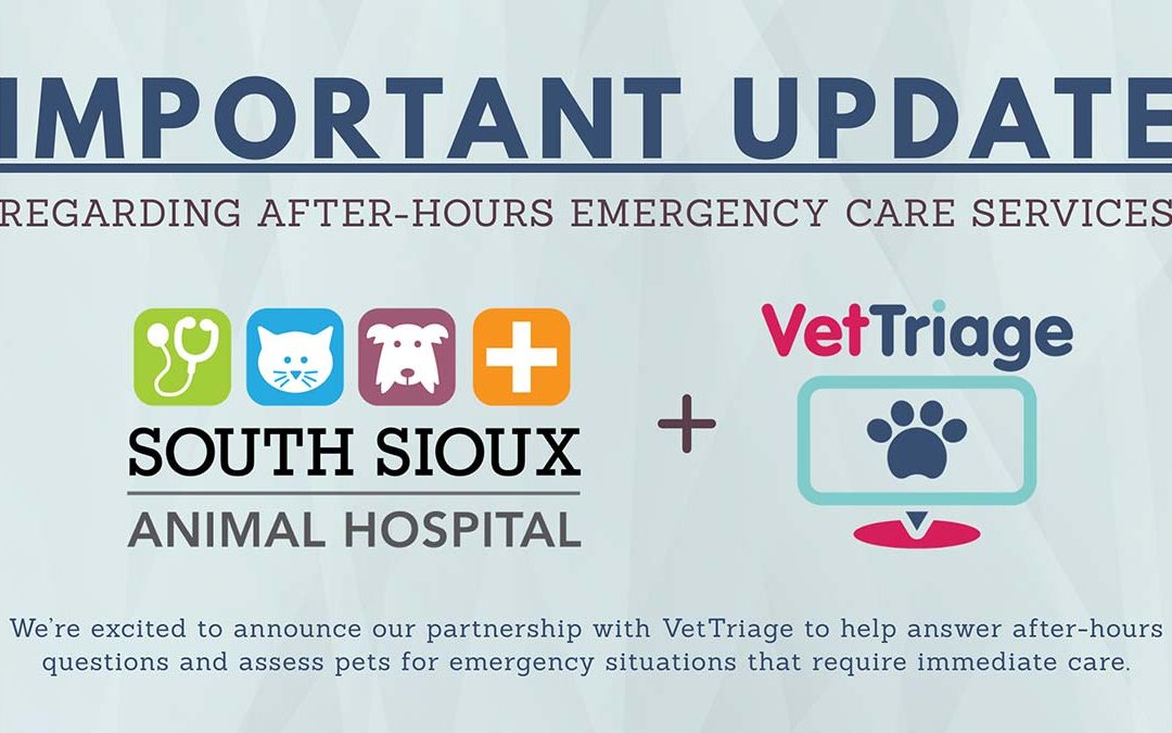 VetTriage